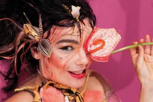 Bjork