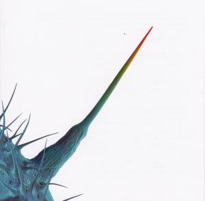 Gabriel, Peter - And I�ll Scratch Yours