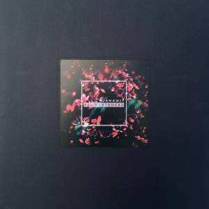 Jan Amit - Flowertraces