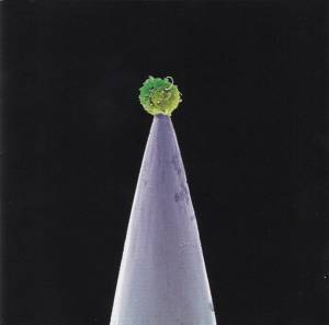 Peter Gabriel - New Blood
